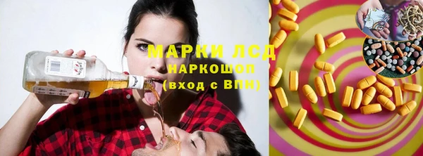 PSILOCYBIN Козловка