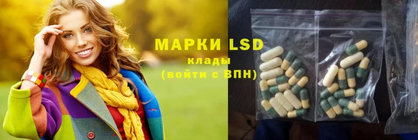 PSILOCYBIN Козловка