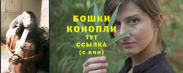 PSILOCYBIN Козловка