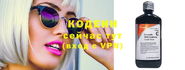 PSILOCYBIN Козловка