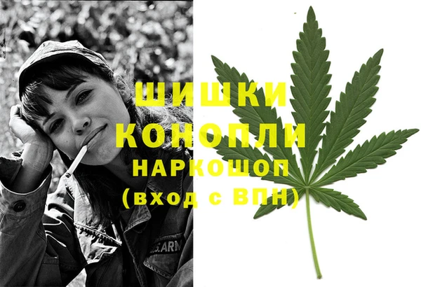 PSILOCYBIN Козловка