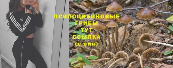 PSILOCYBIN Козловка
