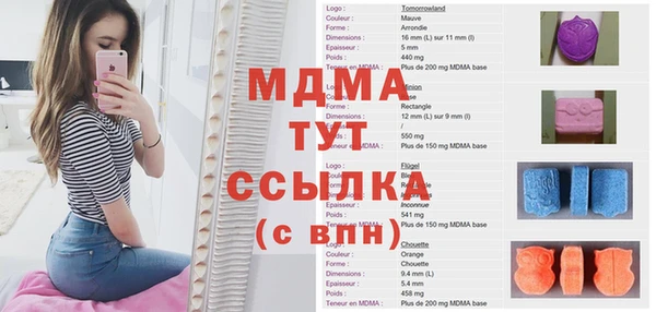 PSILOCYBIN Козловка