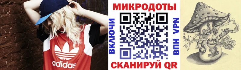 Купить где  Западная Двина  Галлюциногенные грибы GOLDEN TEACHER 